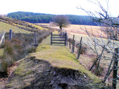 Blaencyffin tramway, March 2010